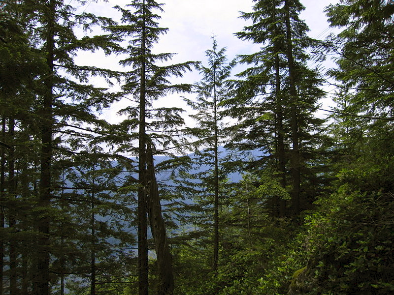GrouseMountainBC